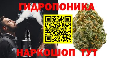 СК Абинск