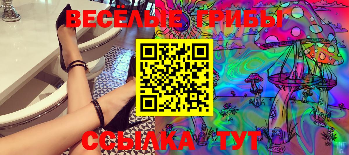 Галлюциногенные грибы прущие грибы  Вход с VPN  Алексин 